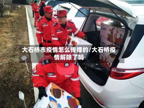 大石桥市疫情怎么传播的/大石桥疫情解除了吗-第3张图片