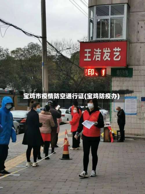 宝鸡市疫情防空通行证(宝鸡防疫办)-第1张图片