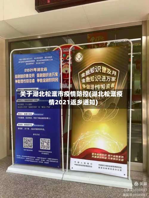 关于湖北松滋市疫情防控(湖北松滋疫情2021返乡通知)-第2张图片