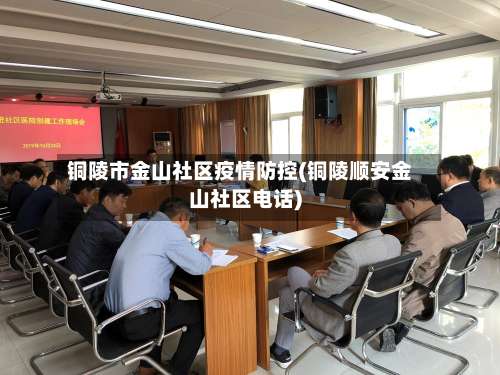 铜陵市金山社区疫情防控(铜陵顺安金山社区电话)-第1张图片