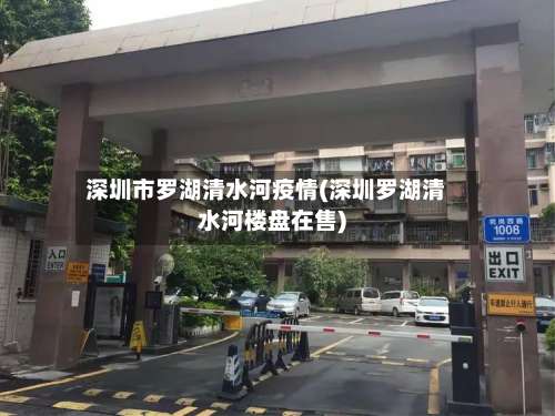 深圳市罗湖清水河疫情(深圳罗湖清水河楼盘在售)-第2张图片