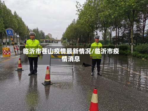 临沂市苍山疫情最新情况/临沂市疫情消息-第1张图片