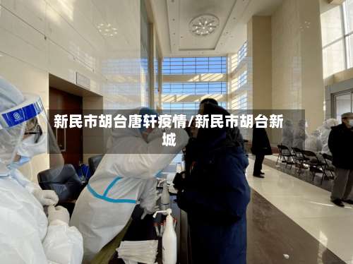 新民市胡台唐轩疫情/新民市胡台新城-第1张图片