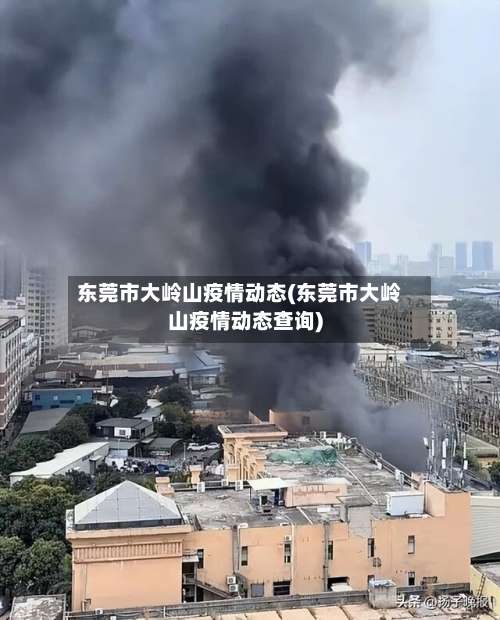 东莞市大岭山疫情动态(东莞市大岭山疫情动态查询)-第2张图片