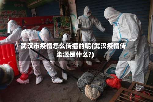武汉市疫情怎么传播的呢(武汉疫情传染源是什么?)-第1张图片