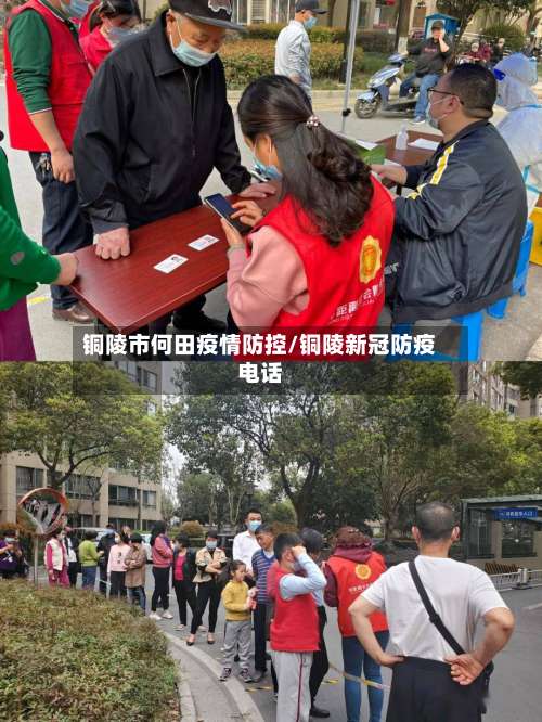 铜陵市何田疫情防控/铜陵新冠防疫电话-第1张图片