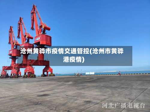 沧州黄骅市疫情交通管控(沧州市黄骅港疫情)-第3张图片