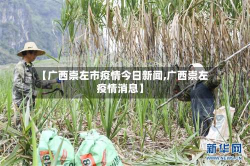 【广西崇左市疫情今日新闻,广西崇左疫情消息】-第2张图片