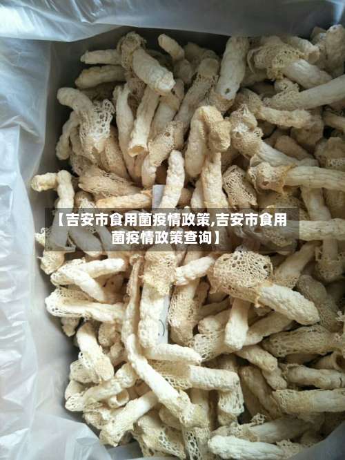 【吉安市食用菌疫情政策,吉安市食用菌疫情政策查询】-第1张图片