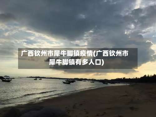 广西钦州市犀牛脚镇疫情(广西钦州市犀牛脚镇有多人口)-第1张图片