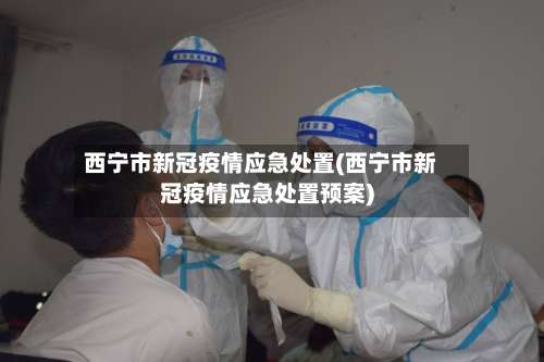 西宁市新冠疫情应急处置(西宁市新冠疫情应急处置预案)-第1张图片
