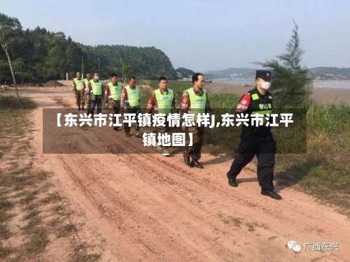 【东兴市江平镇疫情怎样J,东兴市江平镇地图】-第3张图片