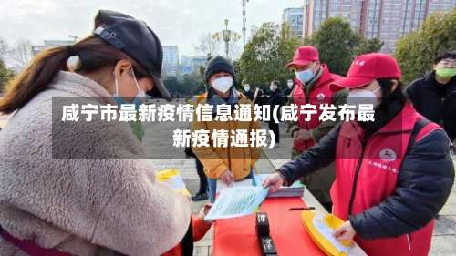 咸宁市最新疫情信息通知(咸宁发布最新疫情通报)-第3张图片