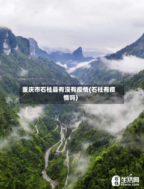 重庆市石柱县有没有疫情(石柱有疫情吗)-第3张图片