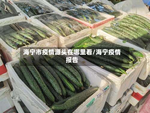 海宁市疫情源头在哪里看/海宁疫情报告-第2张图片