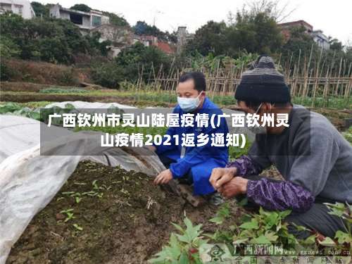 广西钦州市灵山陆屋疫情(广西钦州灵山疫情2021返乡通知)-第1张图片