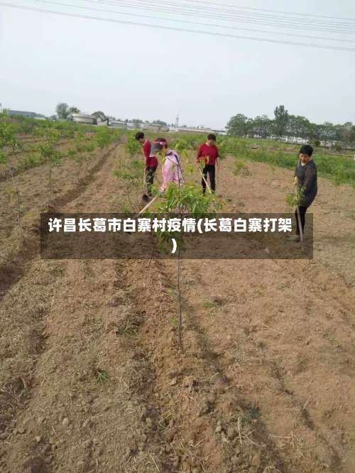 许昌长葛市白寨村疫情(长葛白寨打架)-第1张图片