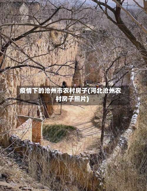 疫情下的沧州市农村房子(河北沧州农村房子照片)-第2张图片