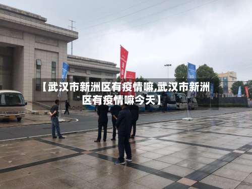 【武汉市新洲区有疫情嘛,武汉市新洲区有疫情嘛今天】-第3张图片