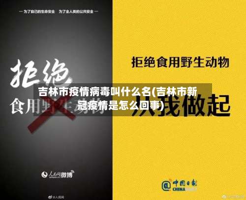 吉林市疫情病毒叫什么名(吉林市新冠疫情是怎么回事)-第1张图片
