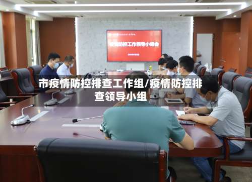 市疫情防控排查工作组/疫情防控排查领导小组-第1张图片