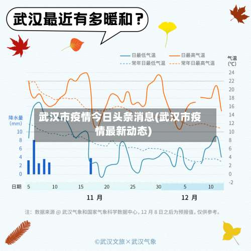 武汉市疫情今日头条消息(武汉市疫情最新动态)-第1张图片