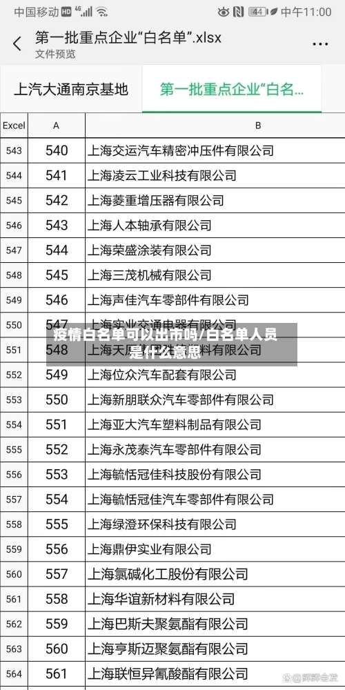 疫情白名单可以出市吗/白名单人员是什么意思-第1张图片